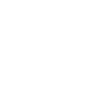 NSWGov_Waratah_Primary_WHITE